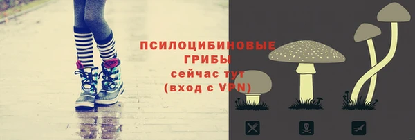 спиды Горно-Алтайск