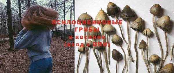 спиды Горно-Алтайск