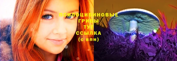 спиды Горно-Алтайск