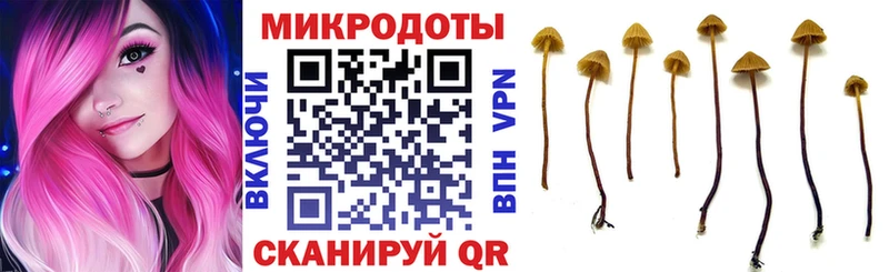 mega онион  дарнет шоп  Нестеровская  Псилоцибиновые грибы Magic Shrooms 